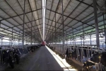 “四路”共推北京畜牧业迈向节水高效 - 农业局