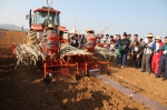 甘蔗生产全程机械化现场演示会在广西柳州举办 - 农业机械化信息网