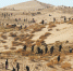甘肃武威：防沙治沙让荒漠披绿 - 林业网