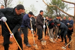贵州省组织开展以“厚植生态优势　共建绿色家园　留住最美乡愁”为主题的义务植树活动 - 林业网