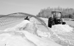 江滨抓住有利时机掀起清雪、扣棚热潮 - 农业机械化信息网