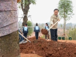 组图：全国各地开展义务植树活动 - 林业网