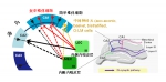 [成果]《自然 • 神经科学》发表章晓辉研究组关于海马关联学习的神经环路机制的重要发现 - 师范大学