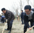 浙江省党政军领导带头参加义务植树劳动 - 林业网