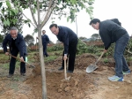 共同建设山清水秀美丽重庆 - 林业网