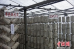 中国最大黑木耳产销地创出口全球市场“夺金点” - News.Cntv.Cn