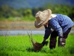 国土资源部：2018年完成农垦国有土地确权登记 - News.Cntv.Cn