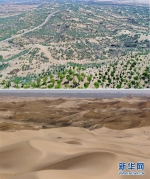 三代治沙人沙海筑起“绿色长城”（组图） - 林业网