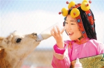 西藏：野生动物的家园 - 林业网