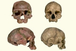 距今30万年!摩洛哥发现5具智人化石 人类起源或提前 - News.Cntv.Cn