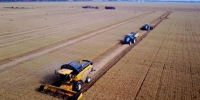 河南麦收基本结束 农机合作社成机收主力 - 农业机械化信息网