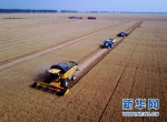 河南麦收基本结束 农机合作社成机收主力 - 农业机械化信息网