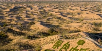 “人逼沙退”的绿色中国梦 - 林业网
