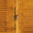 麦田里的江湖浪客——现代麦客“逐麦”人生 - 农业机械化信息网