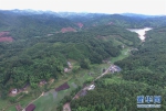 福建：林改促进生态文明建设 - 林业网