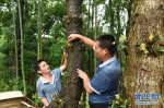福建：林改促进生态文明建设 - 林业网