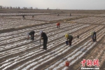 中国拟从国家层面建立土壤污染防治基金制度 - News.Cntv.Cn