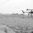 植保无人机：有标准才能飞得更好 - 农业机械化信息网