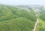全国集体林权制度改革成就综述 - 林业网