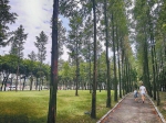 四川探路城乡一体绿化　既要规模又要美感　 - 林业网