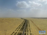 茫茫大漠里的“绿色长城” - 林业网