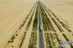 茫茫大漠里的“绿色长城” - 林业网