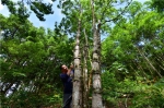 从全国林改第一村出发　看武平县如何将绿色改革进行到底 - 林业网