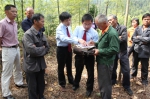 从全国林改第一村出发　看武平县如何将绿色改革进行到底 - 林业网