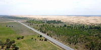 内蒙古初步建成横跨我国三北的生态屏障 - 林业网