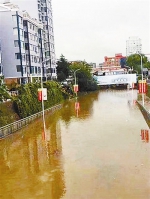 丹东雨后积水 市民划船出行 - News.Cntv.Cn