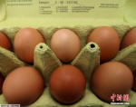 荷兰当局早前在鸡只的粪便、血液及蛋中，验出高浓度的杀虫药芬普尼(fipronil)。 - News.Cntv.Cn