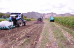 西藏举办青稞、青饲玉米全程机械化作业演示活动 - 农业机械化信息网