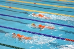 2017年北京市游泳救生员职业技能大赛举行 - 体育局