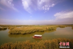 “塞上明珠”宁夏沙湖吸引游客 - 林业网