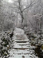 北京部分高海拔山区出现降雪 - 气象局