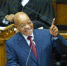 当地时间2月12日，南非开普敦，南非总统祖玛在议会发表国情咨文，在演说期间，遭到反对党经济自由战士党议员打断，引发骚乱。图为南非总统祖玛正在发表国情咨文。 - News.Cntv.Cn