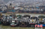 台风“卡努”来势汹汹 海南24278艘渔船回港避风 - News.Cntv.Cn