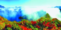 黑龙江森工林区筑起生态屏障呵护绿色龙江 - 林业网