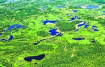 黑龙江森工林区筑起生态屏障呵护绿色龙江 - 林业网