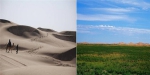 “死亡之海”变沙漠绿洲　菲媒点赞亿利治沙扶贫 - 林业网