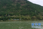 重庆“天保工程”二十载：绿水青山就是金山银山 - 林业网
