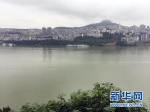 重庆“天保工程”二十载：绿水青山就是金山银山 - 林业网