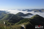 陕西吴起：退耕还林筑起“金山银山” - 林业网