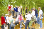 携手铸就竹藤大业　共谋包容绿色发展 - 林业网