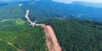 仙游：职业护林员编织森林防护网 - 林业网