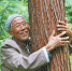 退休三十三年　种树二十万株 - 林业网