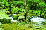 走进秦岭国家植物园，探寻绿色中国之根 - 林业网