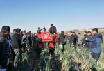 葱姜蒜、辣椒生产全程机械化发展论坛在山东举办 - 农业机械化信息网