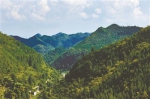 毕节：生态建设稳步推进 - 林业网