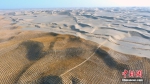 新疆固沙工程　巨网“罩”住塔克拉玛干沙漠 - 林业网